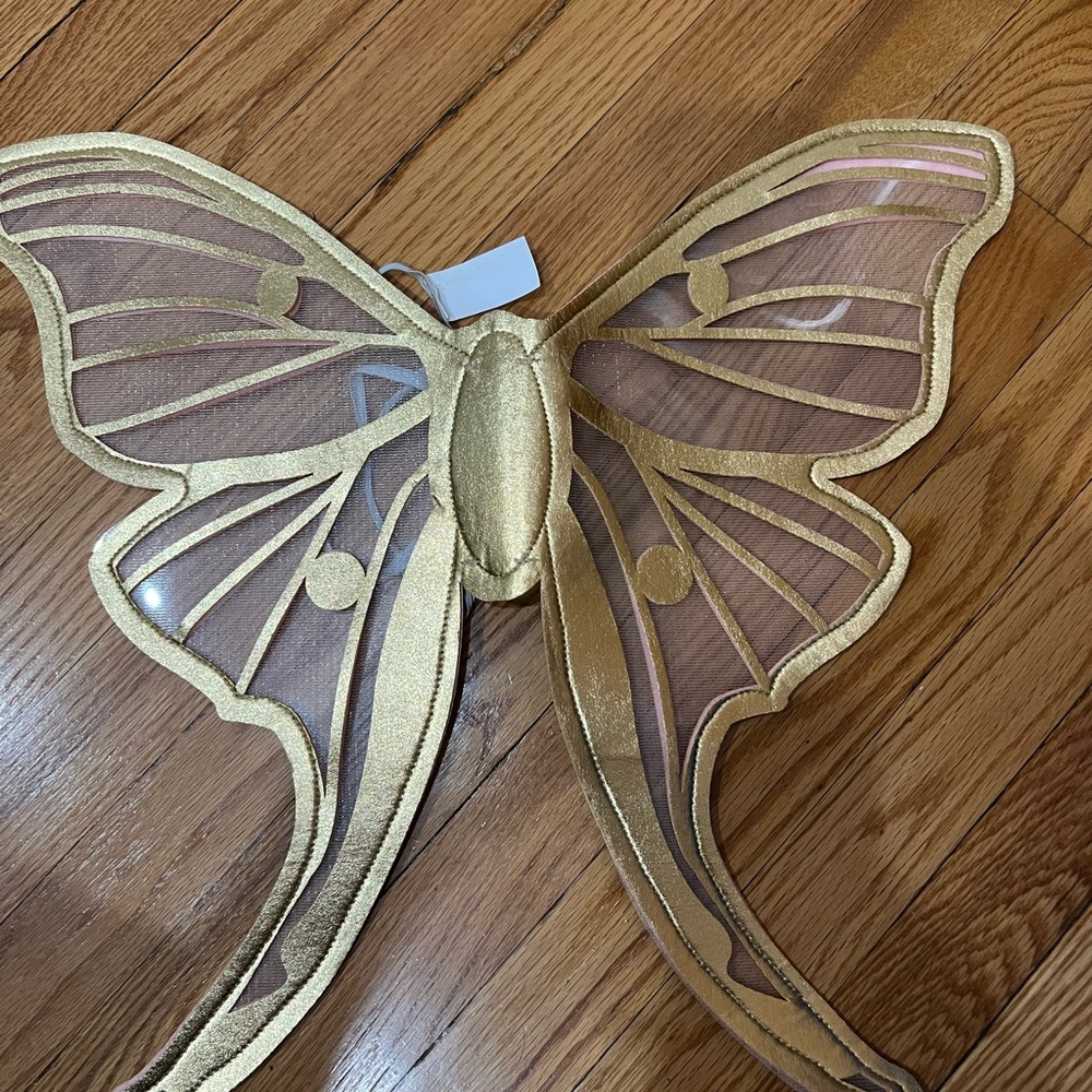 Butterfly Wings for Halloween